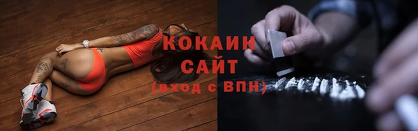стаф Гусь-Хрустальный