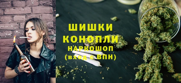 крисы Баксан