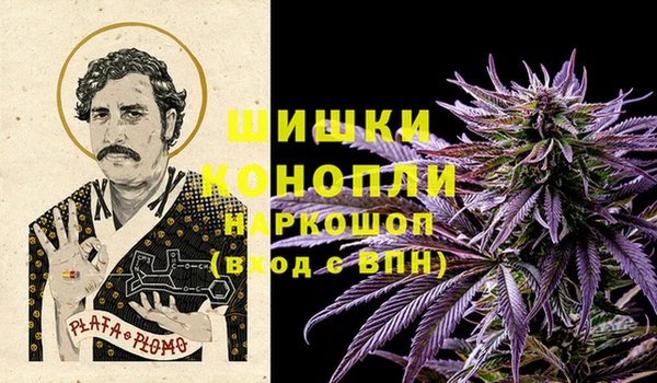 крисы Баксан