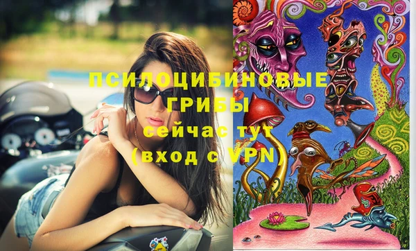 спиды Балахна