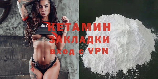 крисы Баксан