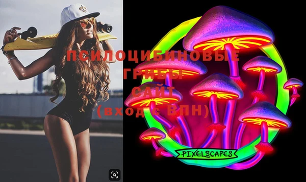 крисы Баксан