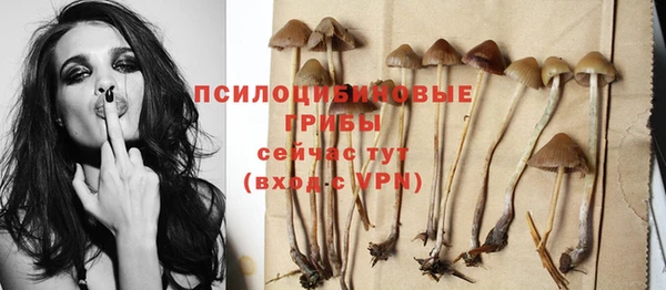 крисы Баксан