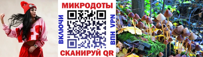 Псилоцибиновые грибы Cubensis даркнет телеграм Новая Ляля